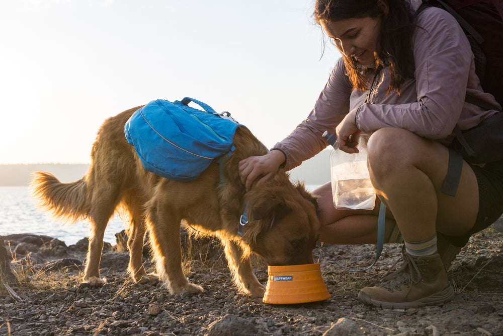 Ruffwear Bivy sulankstomas dubenėlis šunims naudojamas lauke