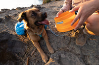 Ruffwear Bivy sulankstomas dubenėlis šunims naudojamas lauke