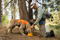 Ruffwear Bivy sulankstomas dubenėlis šunims naudojamas lauke