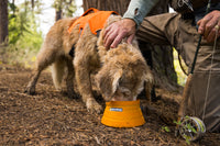 Ruffwear Bivy sulankstomas dubenėlis šunims naudojamas lauke