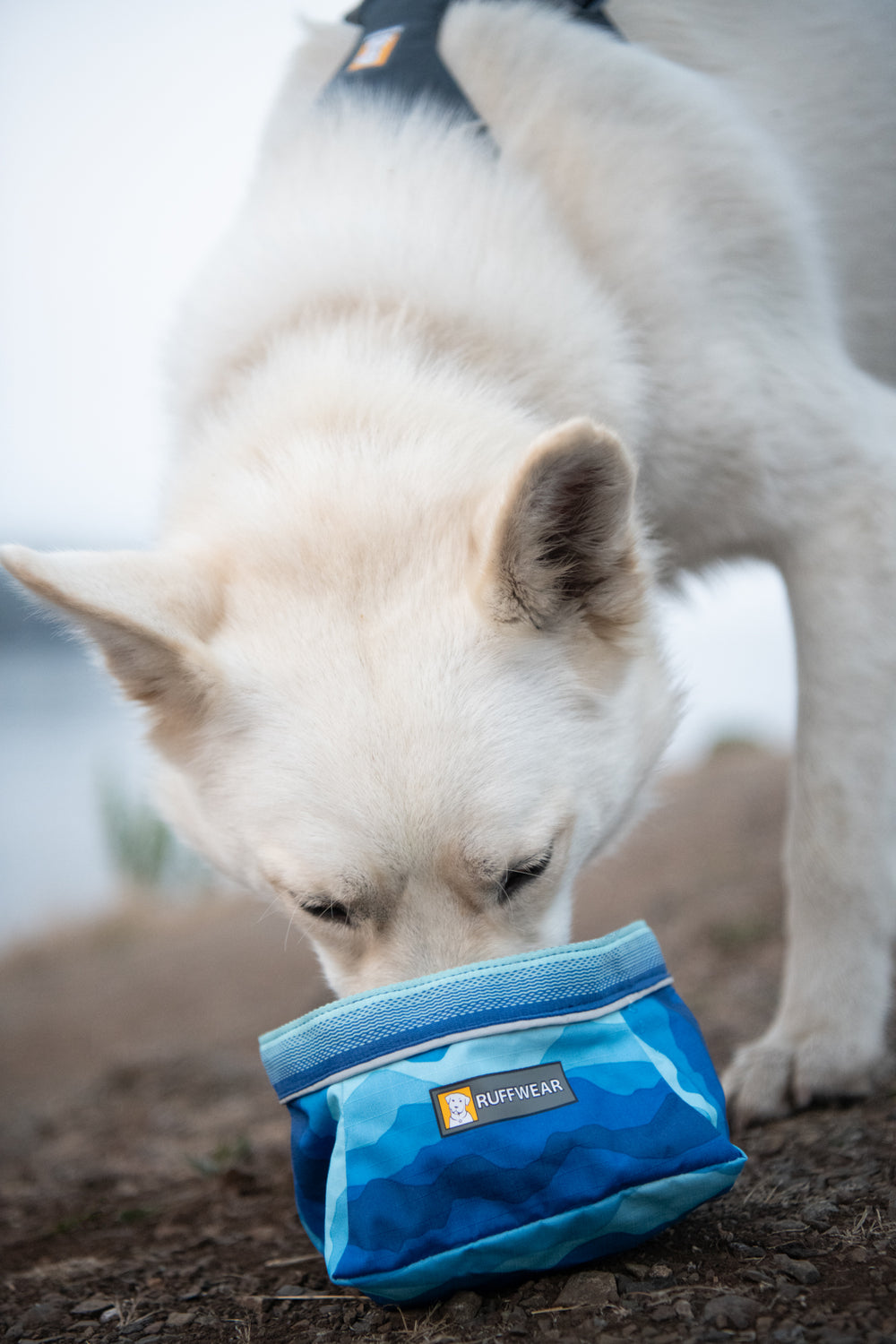 Ruffwear Quencher sulankstomas dubenėlis šunims naudojamas lauke
