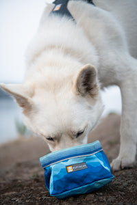 Ruffwear Quencher sulankstomas dubenėlis šunims naudojamas lauke