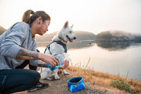 Ruffwear Quencher sulankstomas dubenėlis šunims naudojamas lauke