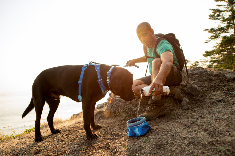 Ruffwear Quencher sulankstomas dubenėlis šunims naudojamas lauke
