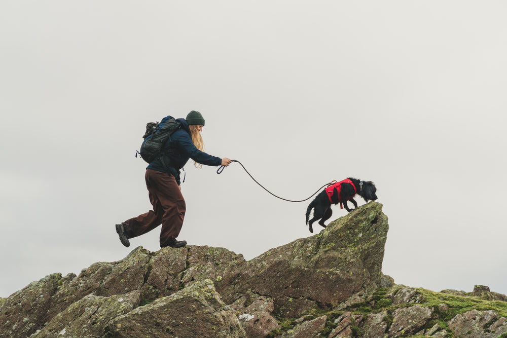 Ruffwear Knot-a-Leash virvinis pavadėlis šunims naudojamas lauke
