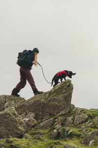 Ruffwear Knot-a-Leash virvinis pavadėlis šunims naudojamas lauke