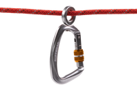 Ruffwear Knot-a-Hitch pririšimo sistema šuniui – karabino detalė