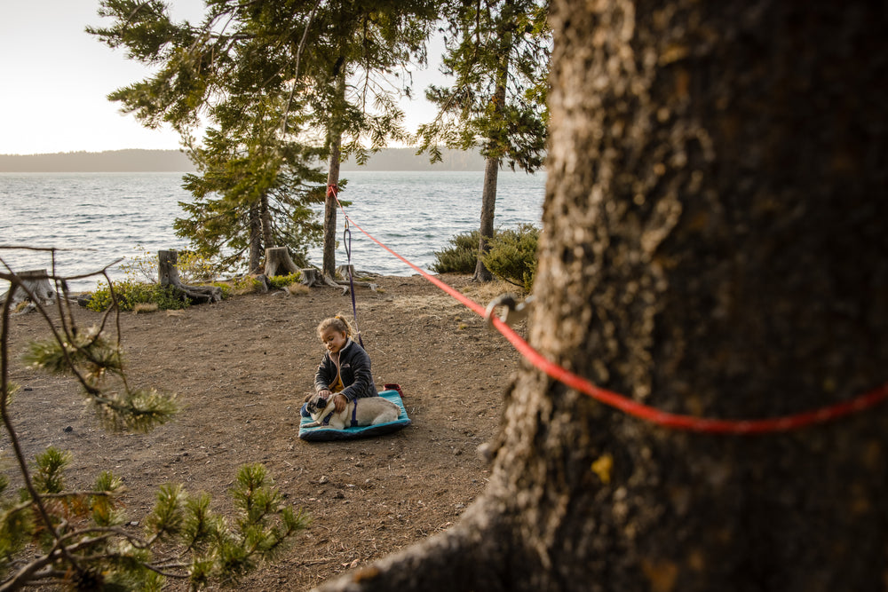 Šuo lauke su Ruffwear Knot-a-Hitch pririšimo sistema