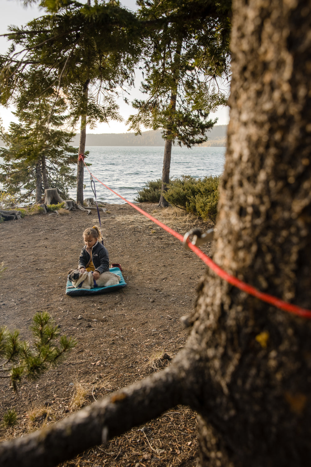 Šuo lauke su Ruffwear Knot-a-Hitch pririšimo sistema