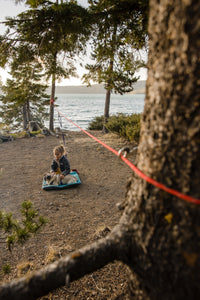 Šuo lauke su Ruffwear Knot-a-Hitch pririšimo sistema