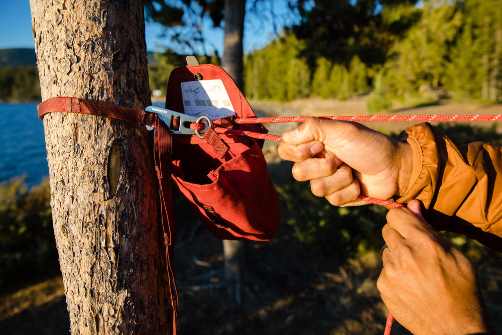Šuo lauke su Ruffwear Knot-a-Hitch pririšimo sistema