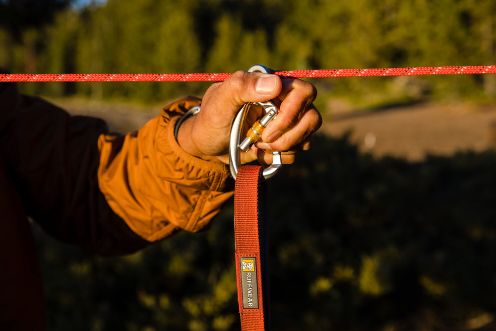 Šuo lauke su Ruffwear Knot-a-Hitch pririšimo sistema