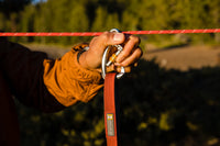 Šuo lauke su Ruffwear Knot-a-Hitch pririšimo sistema