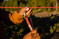 Šuo lauke su Ruffwear Knot-a-Hitch pririšimo sistema