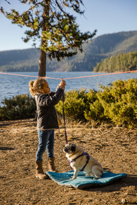 Šuo lauke su Ruffwear Knot-a-Hitch pririšimo sistema