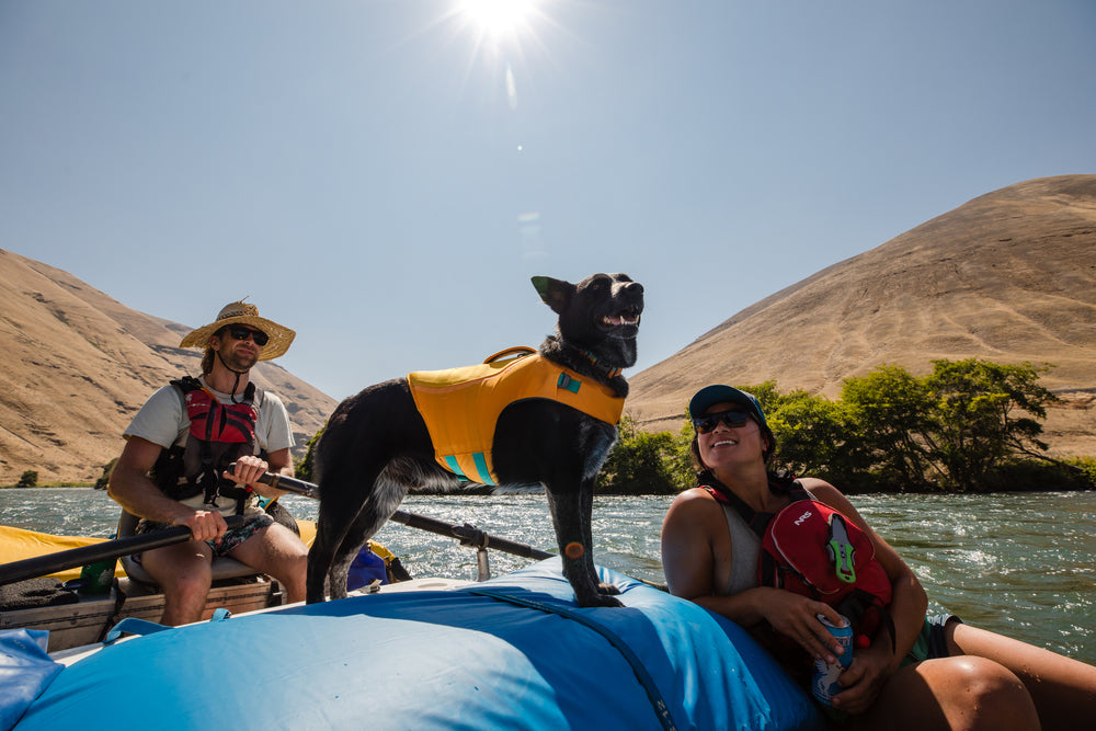 Ruffwear Float Coat gelbėjimosi liemenė šunims naudojama prie vandens