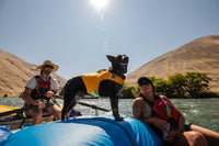 Ruffwear Float Coat gelbėjimosi liemenė šunims naudojama prie vandens