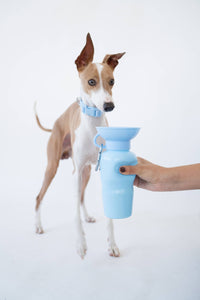 Springland Pets 650 ml vandens gertuvė šuniui