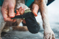 Šuo vaikšto su Ruffwear Summit Trex batais