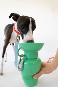 Springland Pets 650 ml vandens gertuvė šuniui