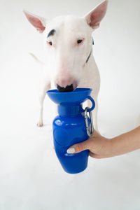 Springland Pets 650 ml vandens gertuvė šuniui