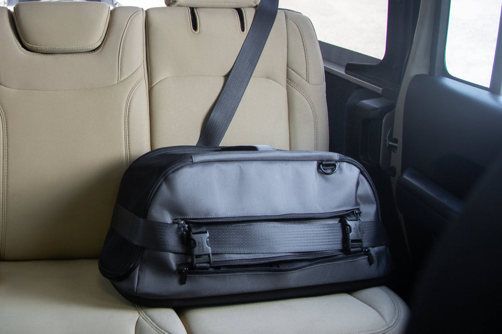 Sleepypod Air juodas kelioninis krepšys šuniui automobiliui ir skrydžiams