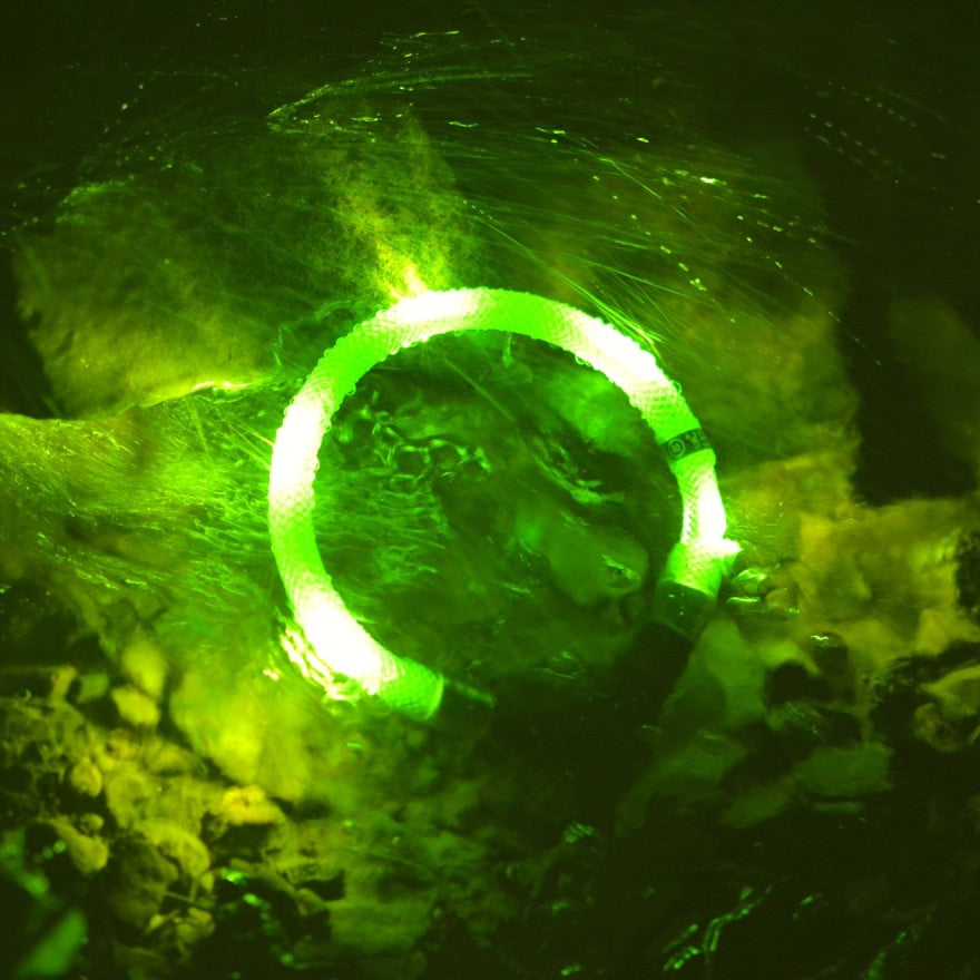 LEUCHTIE Plus LED antkaklis šunims – atsparumo vandeniui pavyzdys