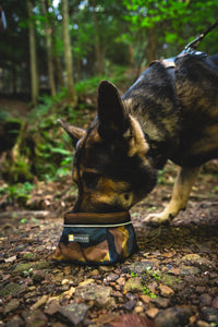 Ruffwear Quencher sulankstomas dubenėlis šunims naudojamas lauke