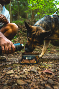 Ruffwear Quencher sulankstomas dubenėlis šunims naudojamas lauke