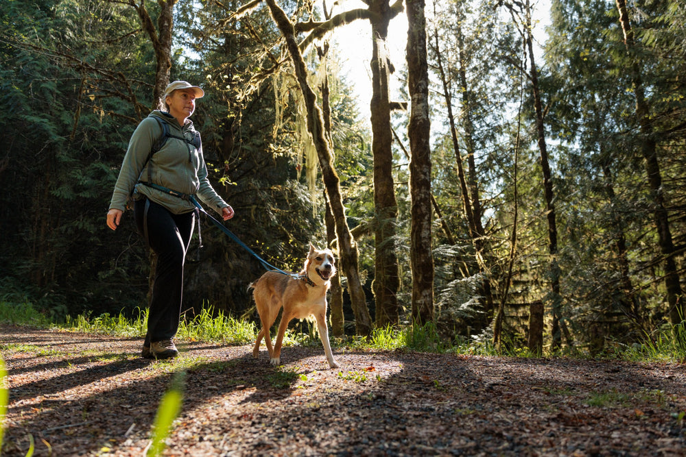 Ruffwear Roamer tamprus pavadėlis šunims naudojamas lauke