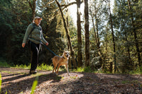 Ruffwear Roamer tamprus pavadėlis šunims naudojamas lauke