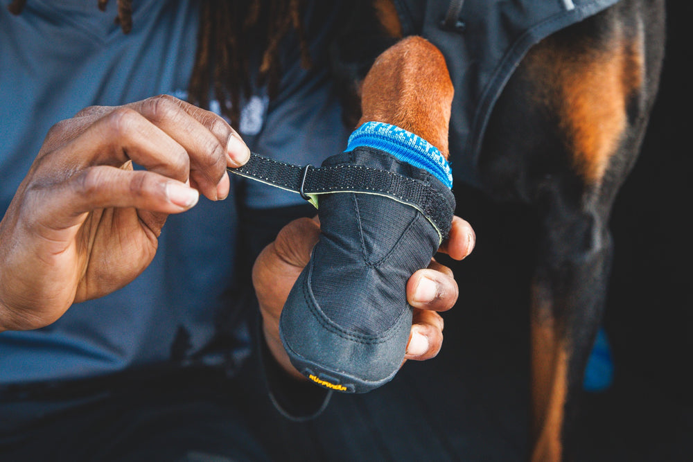Ruffwear Summit Trex batai šunims – prigludimo pavyzdys