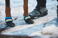 Šuo žiemą su Ruffwear Summit Trex batais