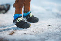 Šuo žiemą su Ruffwear Summit Trex batais